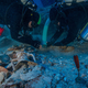 Illustration for article titled Dozens of Cool Artifacts Recovered From the Antikythera Shipwreck